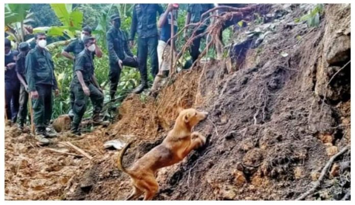 Mawanella landslide - නාය යෑමෙන් පස් කන්දට යටවූ සිය ආදරණියන් පෙන්වූ සුරතලා (PHOTOS)