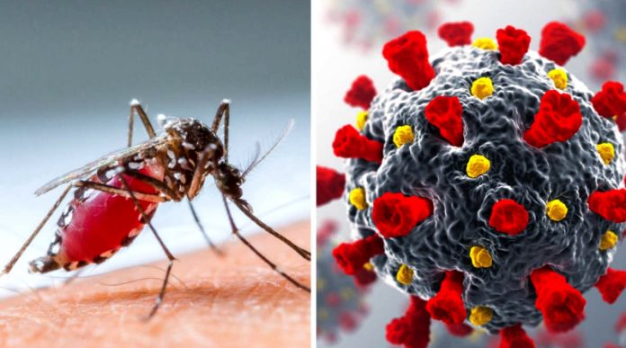 Covid and Dengue - ඩෙංගු සහ කොරෝනා රෝග ලක්ෂණ සමානයි - දැඩි අවධානයෙන් සිටින්න