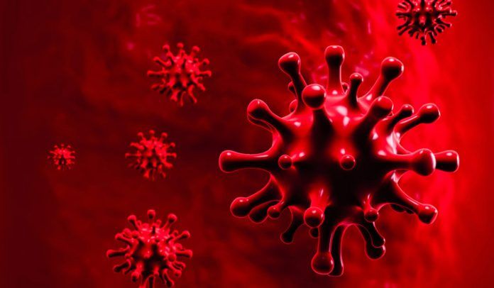 Coronavirus Attack රට හුදෙකළා නොකළහොත් අගෝස්තු – සැප්තැම්පර් මාස වන විට මිනී කඳු ගොඩ ගැසේවි