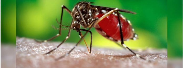 Dengue - ඩෙංගු හිස එසවීමේ බරපතළ අවදානමක්! මේ රෝග ලක්ෂණ පවතී නම් වෛද්‍යවරයෙක් හමුවන්න!!