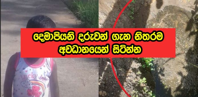 Maskeliya Child - දෙමාපියනි දරුවන් ගැන නිතරම අවධානයෙන් සිටින්න