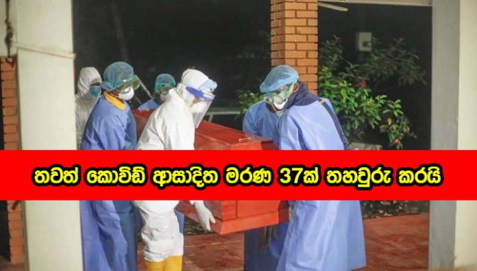 Covid Deaths - තවත් කොවිඩ් ආසාදිත මරණ 37ක් තහවුරු කරයි