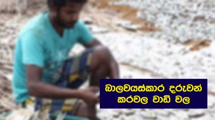 බාලවයස්කාර දරුවන් කරවල වාඩි වල වැඩ