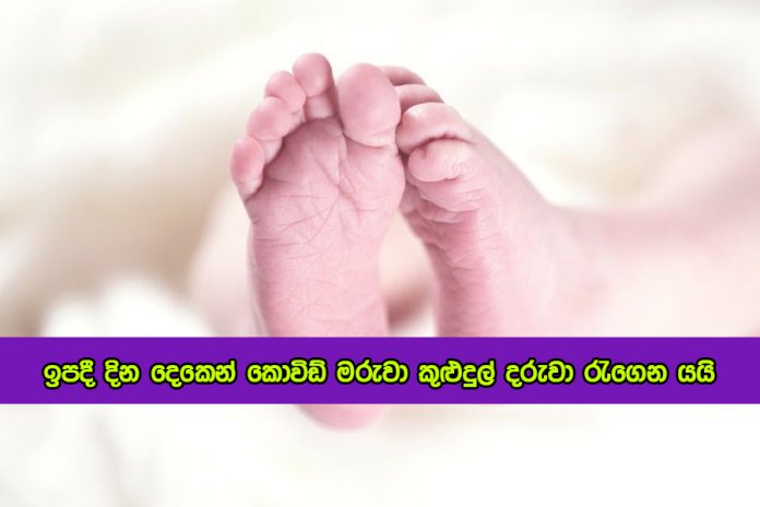 Baby Deaths - ඉපදී දින දෙකෙන් කොවිඩ් මරුවා කුළුදුල් දරුවා රැගෙන යයි