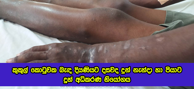 Child Abuse in Norochcholai - කුකුල් කොටුවක බැඳ දියණියට දසවද දුන් නැන්දා හා පියාට දුන් අධිකරණ නියෝගය