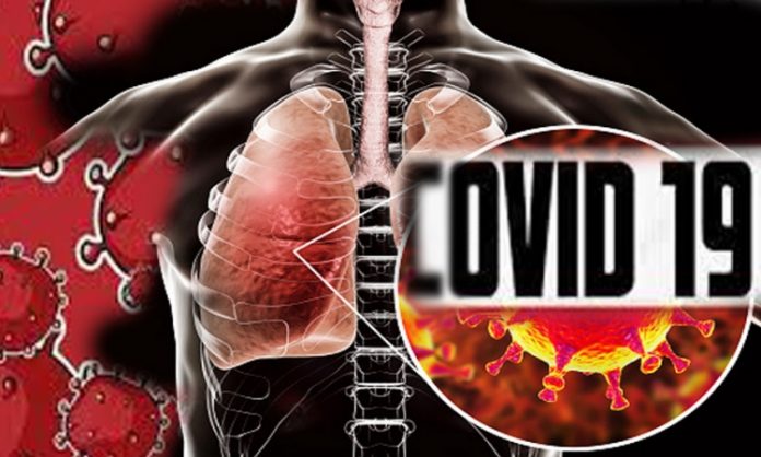 Coronavirus New Cases - අද දෛනික කොවිඩ් ආසාදිතයින් 919ක්