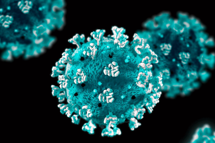 Coronavirus - නුවරඑළියේ ළමා නිවාසයක ළමුන් 37 දෙනෙකුට කොරෝනා