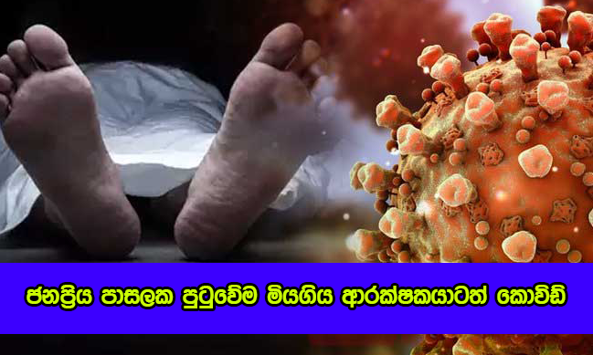 Covid Death - ජනප්‍රිය පාසලක පුටුවේම මියගිය ආරක්ෂකයාටත් කොවිඩ්