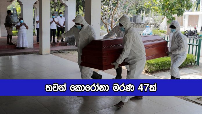 Covid Deaths Yesterday - තවත් කොරෝනා මරණ 47ක්