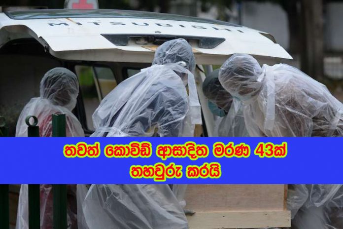 Covid Deaths - ඊයේ දිනයට අදාළව කොවිඩ් ආසාදිත මරණ 43ක් තහවුරු කරයි