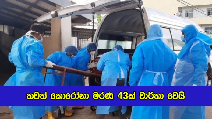 Covid Deaths Today - තවත් කොරෝනා මරණ 43ක් වාර්තා වෙයි