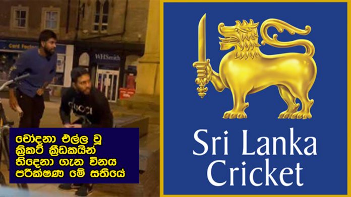 චෝදනා එල්ල වූ ක්‍රිකට් ක්‍රීඩකයින් තිදෙනා ගැන විනය පරීක්ෂණ මේ සතියේ