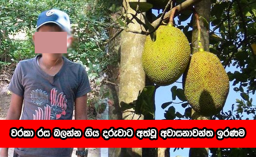 Death - වරකා රස බලන්න ගිය දරුවාට අත්වූ අවාසනාවන්ත ඉරණම