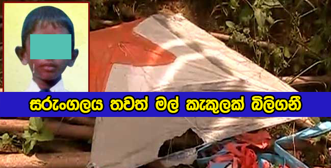 Dead Child - සරුංගලය තවත් මල් කැකුලක් බිලිගනී