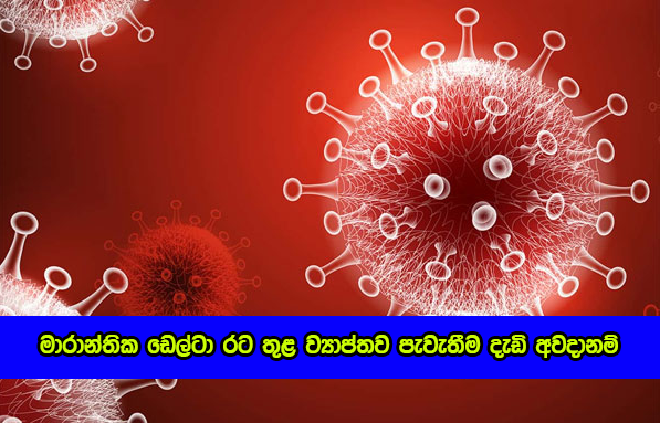 Delta Variant : මාරාන්තික ඩෙල්ටා රට තුළ ව්‍යාප්තව පැවැතීම දැඩි අවදානම් - GMOA