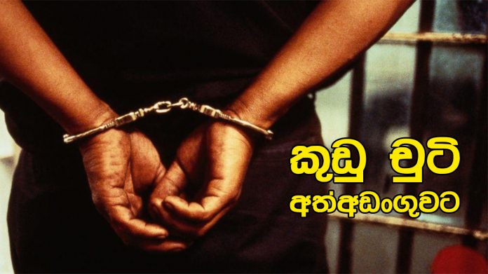 “කුඩු චුටි” අත්අඩංගුවට