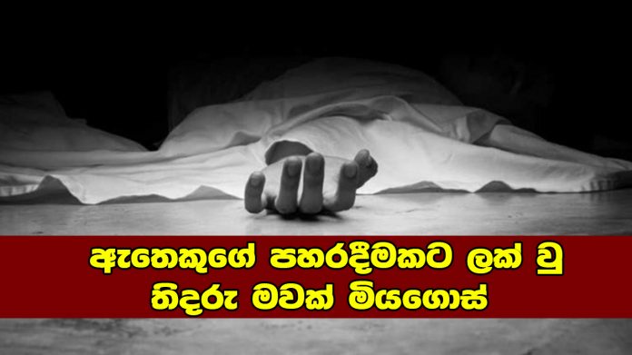 ඇතෙකුගේ පහරදීමකට ලක් වු තිදරු මවක් මියගොස්