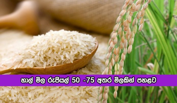 Kiri Samba Price - හාල් මිල රුපියල් 50 -75 අතර මිලකින් පහළට