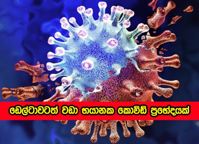 Lambda - ඩෙල්ටා ප්‍රභේදයටත් වඩා භයානක බවට මත පළ වන වෛරසයක් ගැන තොරතුරු අනාවරණය කෙරේ