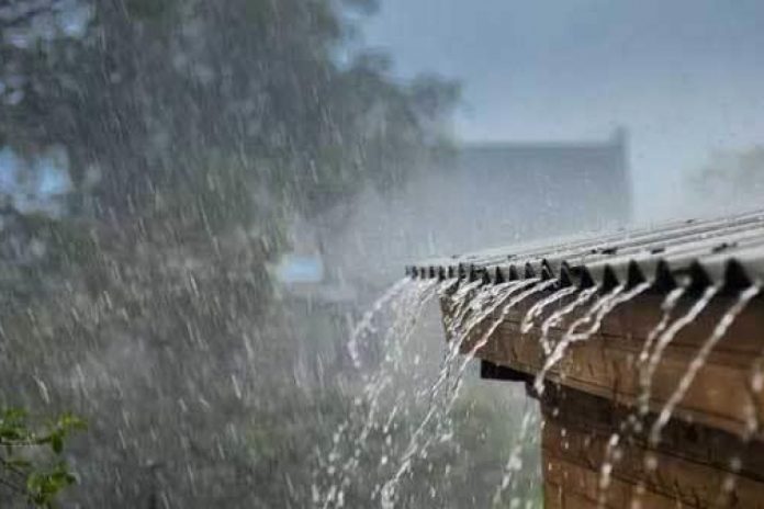 Rain - ප්‍රදේශ කිහිපයකට තරමක තද වැසි