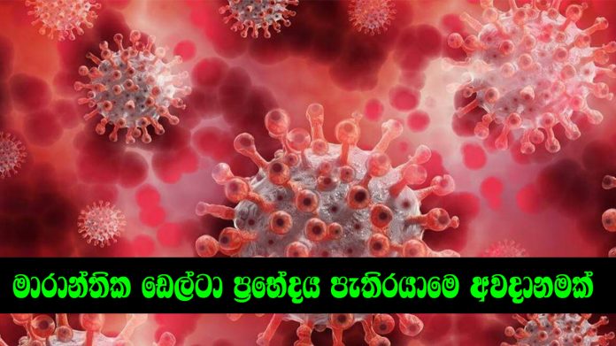 මාරාන්තික ඩෙල්ටා ප්‍රභේදය පැතිරයාමෙ අවදානමක්