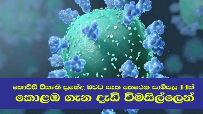 ජාන විකෘතිතා ඇතැයි සැක සහිත කොවිඩ් – 19 ආසාදිත සාම්පල 14ක්