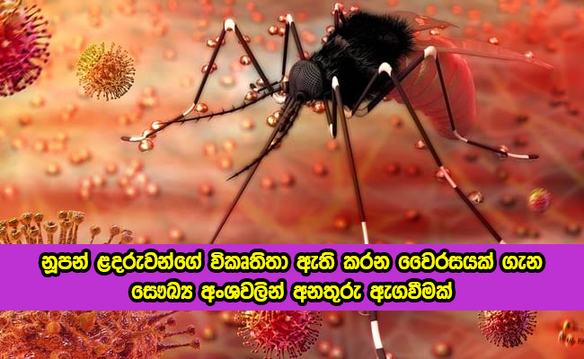 Zika Virus - නූපන් ළදරුවන්ගේ විකෘතිතා ඇති කරන වෛරසයක් ගැන සෞඛ්‍ය අංශවලින් අනතුරු ඇගවීමක්