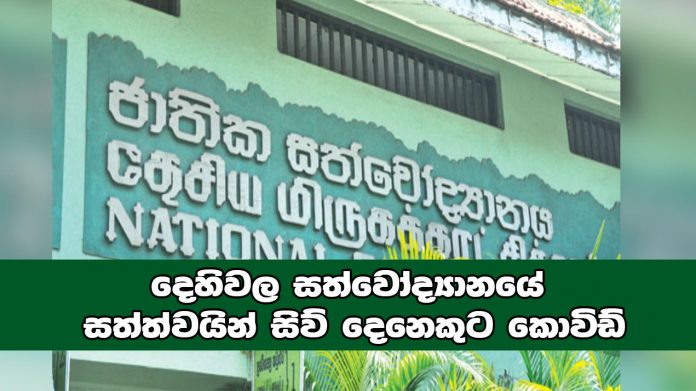 දෙහිවල සත්වෝද්‍යානයේ සත්ත්වයින් සිව් දෙනෙකුට කොවිඩ්