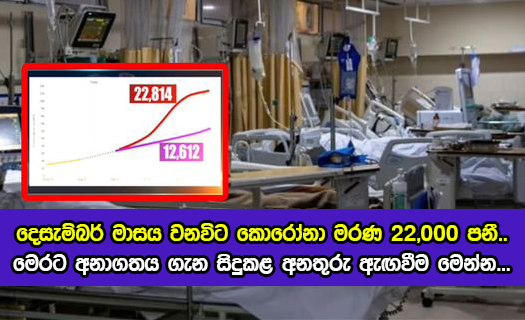 Covid Deaths in Next Four Months - දෙසැම්බර් මාසය වනවිට කොරෝනා මරණ 22,000 පනී.. මෙරට අනාගතය ගැන සිදුකළ අනතුරු ඇඟවීම මෙන්න...