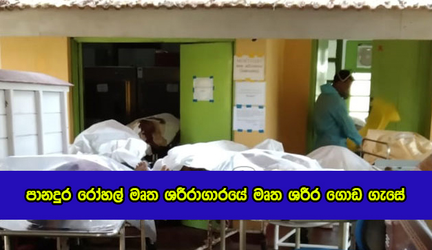 Covid Deaths in Panadura Hospital - පානදුර රෝහල් මෘත ශරීරාගාරයේ මෘත ශරීර ගොඩ ගැසේ