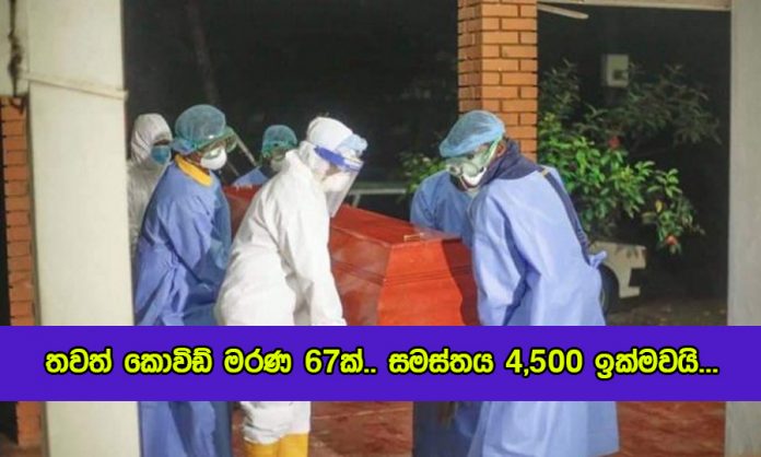 Covid Deaths Yesterday - තවත් කොවිඩ් මරණ 67ක්.. සමස්තය 4,500 ඉක්මවයි...