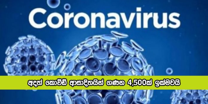 covid New Cases in Sri Lanka Today - අදත් කොවිඩ් ආසාදිතයින් ගණන 4,500ක් ඉක්මවයි