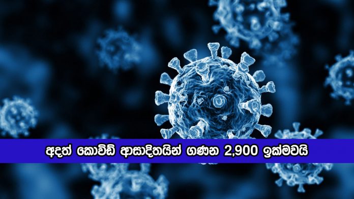 Covid New Cases Today - අදත් කොවිඩ් ආසාදිතයින් ගණන 2,900 ඉක්මවයි