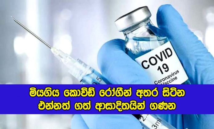 Covid Vaccine - මියගිය කොවිඩ් රෝගීන් අතර සිටින එන්නත් ගත් ආසාදිතයින් ගණන