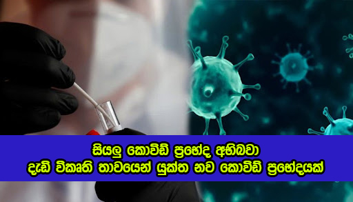 Covid New Variant in South Africa - සියලු කොවිඩ් ප්‍රභේද අභිබවා දැඩි විකෘති තාවයෙන් යුක්ත නව කොවිඩ් ප්‍රභේදයක්