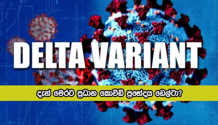 Delta Variant in Sri Lanka - දැන් මෙරට ප්‍රධාන කොවිඩ් ප්‍රභේදය ඩෙල්ටා?