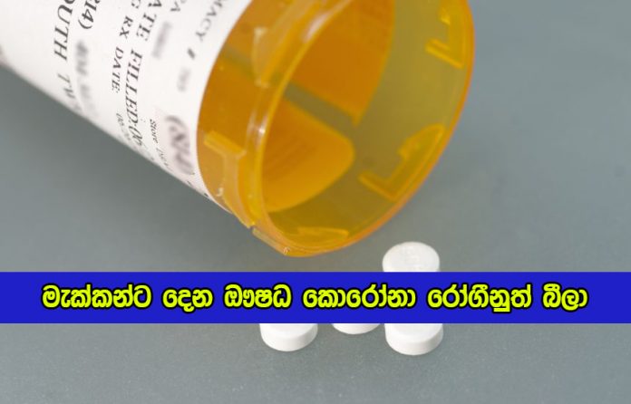 Flea Medicine for Covid - මැක්කන්ට දෙන ඖෂධ කොරෝනා රෝගීනුත් බීලා