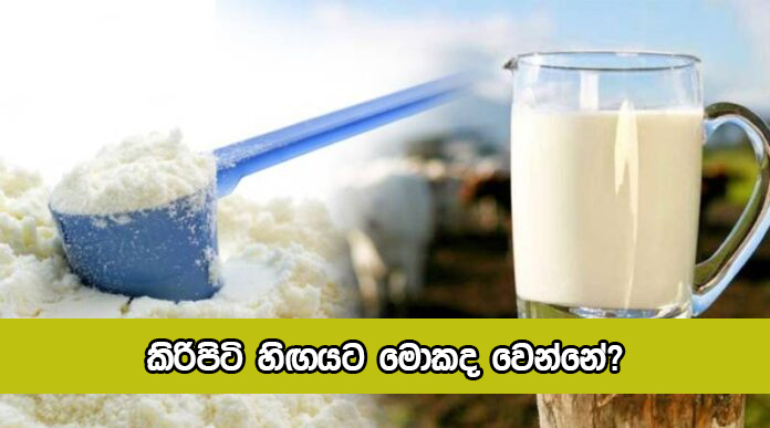 Milk Powder - කිරිපිටි හිඟයට මොකද වෙන්නේ?