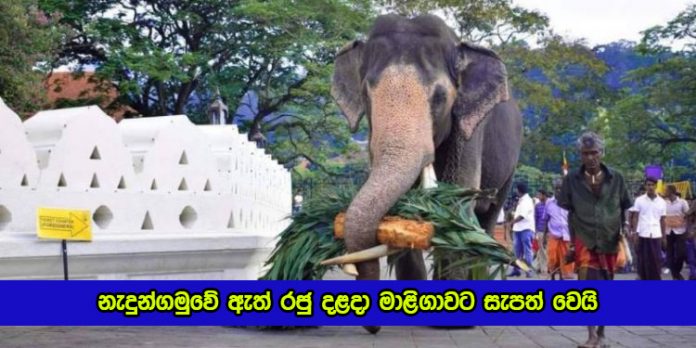 Nadumgamuwe Raja - නැදුන්ගමුවේ ඇත් රජු දළදා මාළිගාවට සැපත් වෙයි