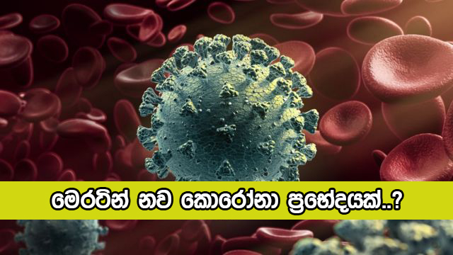 New Covid Variant - මෙරටින් නව කොරෝනා ප‍්‍රභේදයක්..?