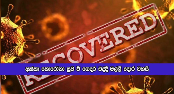 Pallewela Covid Recovered Women Incident - අක්කා කොරෝනා සුව වී ගෙදර එද්දී මල්ලී දොර වහයි