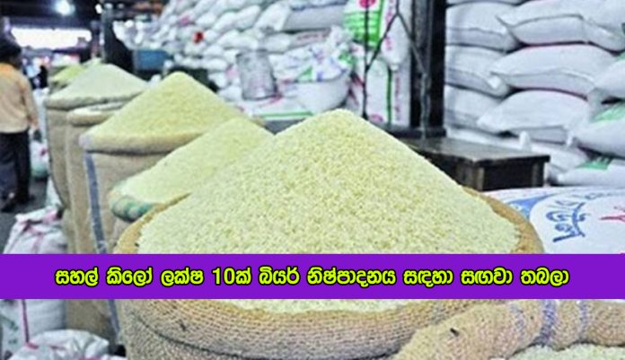 Rice for Beera Production - සහල් කිලෝ ලක්‍ෂ 10ක් බියර් නිෂ්පාදනය සඳහා සඟවා තබලා