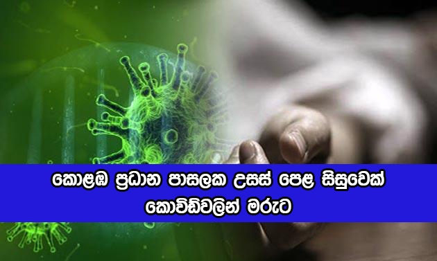 Student Dead from Covid - කොළඹ ප්‍රධාන පාසලක උසස් පෙළ සිසුවෙක් කොවිඩ්වලින් මරුට