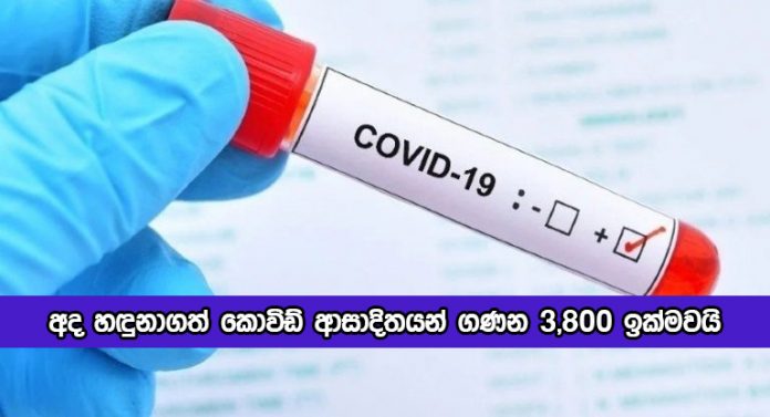 Covid New Cases in Sri Lanka Today - අද හඳුනාගත් කොවිඩ් ආසාදිතයන් ගණන 3,800 ඉක්මවයි