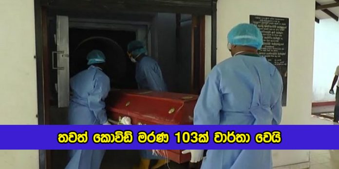 Covid Deaths in Sri Lanka Yesterday - තවත් කොවිඩ් මරණ 103ක් වාර්තා වෙයි