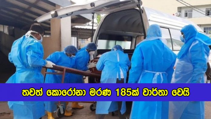 Covid Deaths in Sri Lanka Yesteday - තවත් කොරෝනා මරණ 185ක් වාර්තා වෙයි