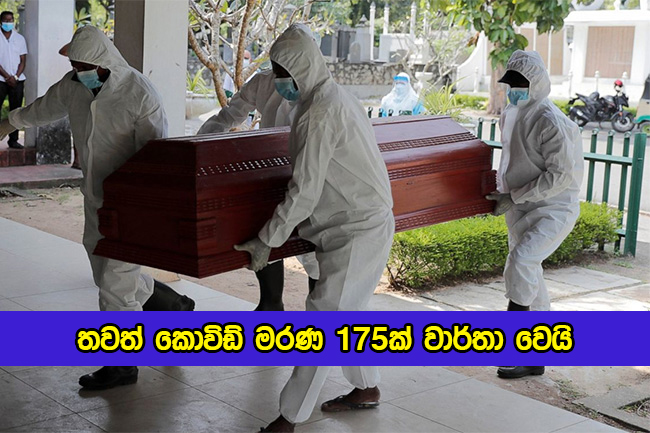 Covid Deaths in Sri Lanka Yesterday - තවත් කොවිඩ් මරණ 175ක් වාර්තා වෙයි