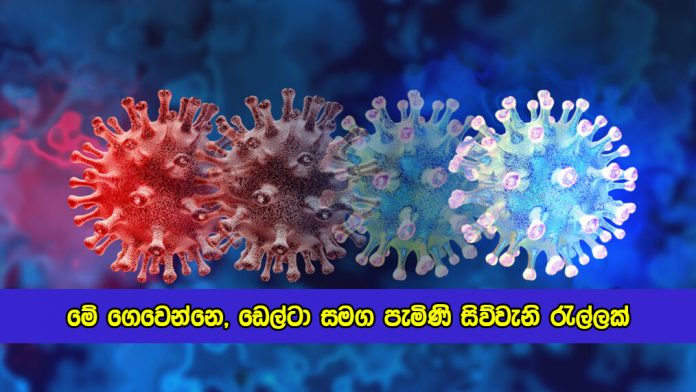 Covid Wave with Delta Variant - මේ ගෙවෙන්නෙ, ඩෙල්ටා සමග පැමිණි සිව්වැනි රැල්ලක්