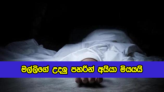 Murder in Kotawehera - මල්ලිගේ උදලු පහරින් අයියා මියයයි