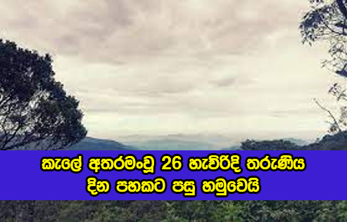 Missing Girl in Jungle - කැලේ අතරමංවූ 26 හැවිරිදි තරුණිය දින පහකට පසු හමුවෙයි